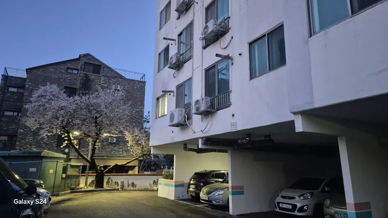 [Jeonju] Living in Jeonju 20