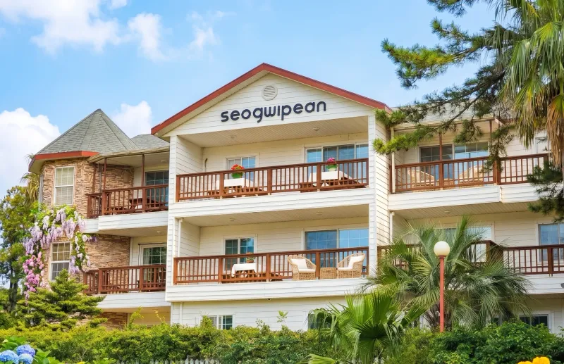 [Bomok-dong, Seogwipo] Free entry for 1 pet, 14 pyeong/Separated Studio - Seogwipian Bomok PET 19
