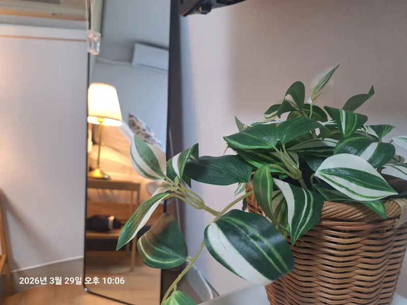 [Gangseo, Seoul] Stay Here 13