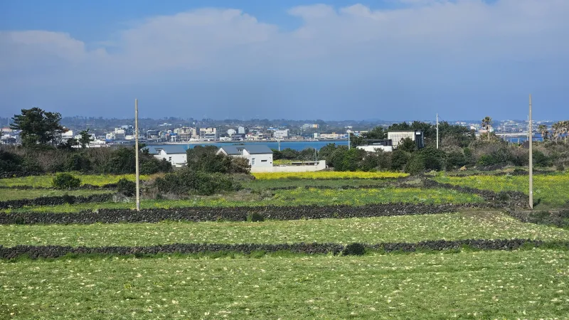 [Gujwa, Jeju] A detached house with a beautiful view of the sea, stone walls, and fields, 30 seconds from the entrance to the complex. 15