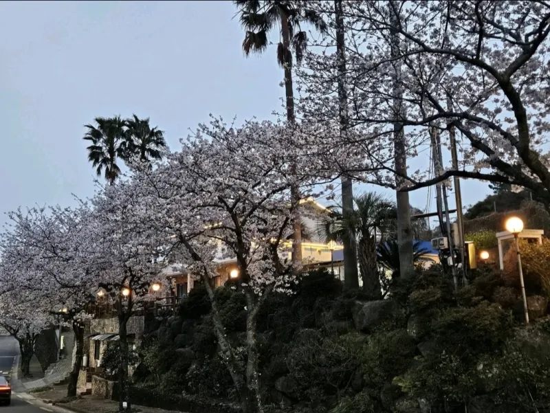 [Haye-dong, Seogwipo][Seogwipo Jungmun] Room 102, a quiet accommodation perfect for a walk 17