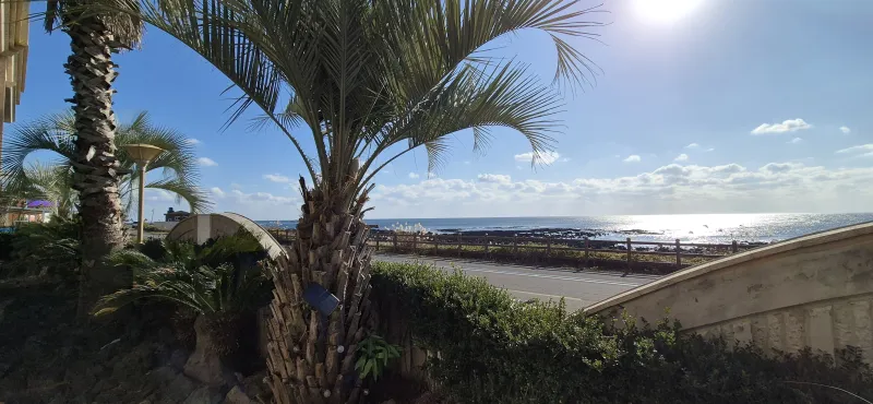 [Seongsan, Seogwipo] Ocean Gallery Premier House ☆ Panoramic ocean view in 1 second when you open your eyes ☆ 50 pyeong. 3 rooms 44