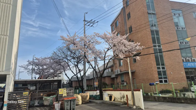 [Jeonju] Living in Jeonju 18