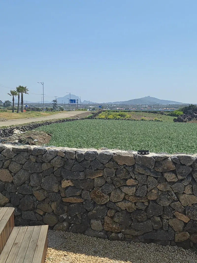 [Daejeong, Seogwipo] Sea view where Daejeong dolphins live, in front of the bus stop, a house in a rural village 54
