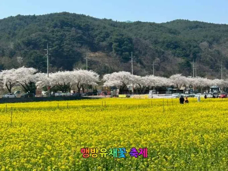 [Samcheok] Samcheok Maengbang Fully Furnished 3-Room Apartment, 2nd Floor, East Sea View 21