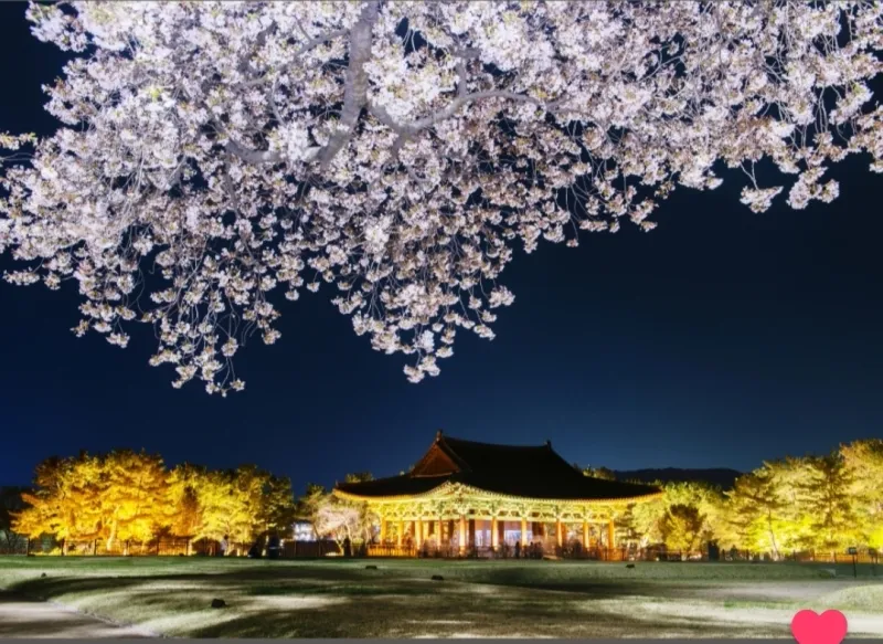 [Gyeongju] Unpack and set off! (3-minute walk from the terminal) Room 202 22