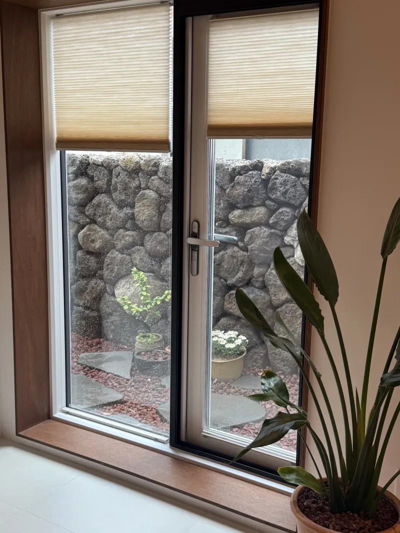 [Seogwi-dong, Seogwipo] Detached house with a volcanic scoria yard near downtown Lee Jung-seop Street 26