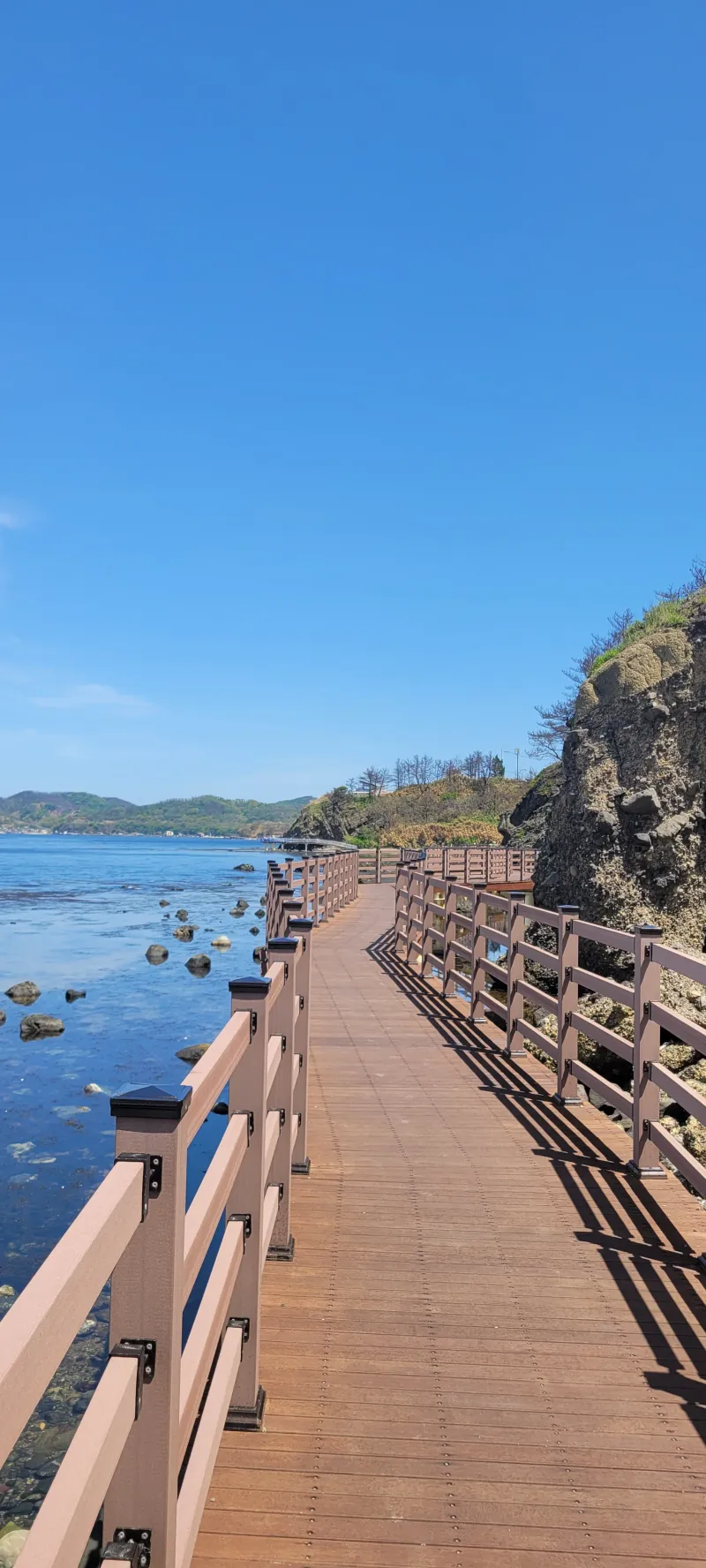 [Pohang] Guryongpo, near Homigot 13