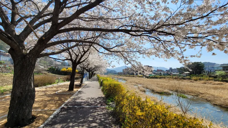 [Namyangju] Country house where sunshine lingers #Private house #Healing #Sudong #Valley #Mountain 22