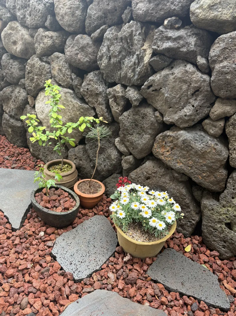 [Seogwi-dong, Seogwipo] Detached house with a volcanic scoria yard near downtown Lee Jung-seop Street 25