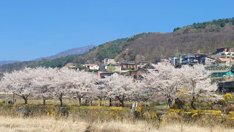 [Namyangju] Country house where sunshine lingers #Private house #Healing #Sudong #Valley #Mountain 23