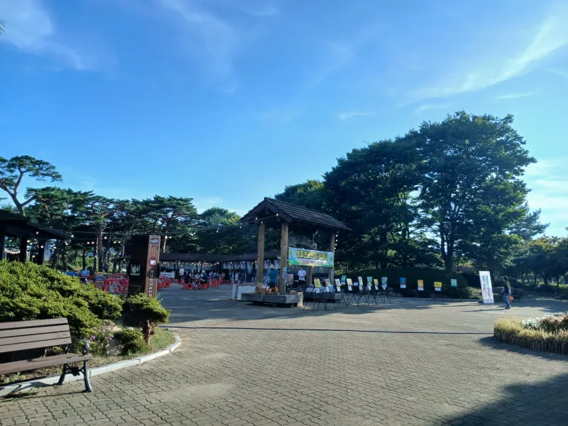 [경북 울진] 울진구산해수욕장 앞  소나무캠핑장(카라반가능캠핑장)동해 40