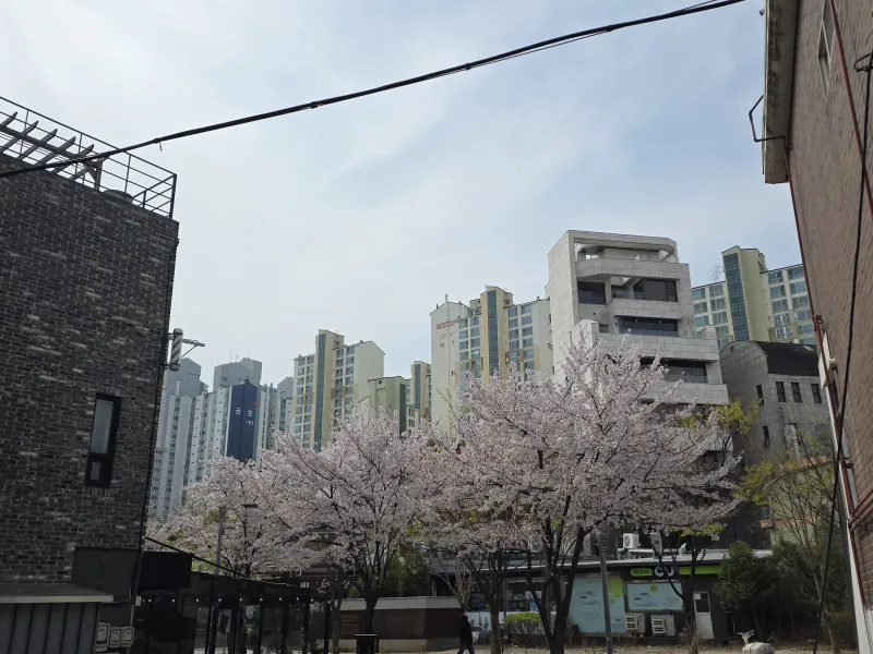 [서울 마포] 홍대입구역5분|4인|신규리모델링|퀸침대2|오픈특가|풀옵션 18