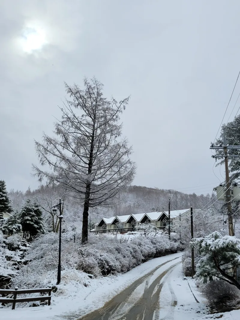 [Pyeongchang][Pyeongchang-gun, Gangwon-do] Large-scale villa-style houses 13