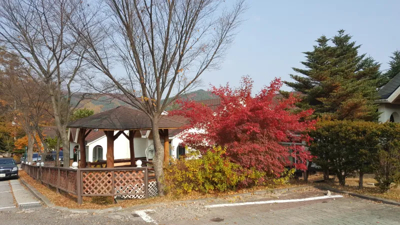 [Pyeongchang][Pyeongchang-gun, Gangwon-do] Large-scale villa-style houses 11