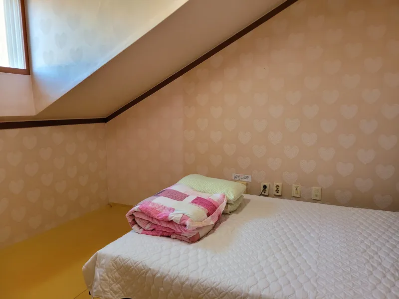 [Pyeongchang][Pyeongchang-gun, Gangwon-do] Large-scale villa-style houses 2