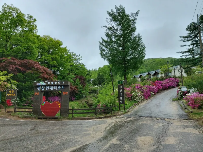 [Pyeongchang][Pyeongchang-gun, Gangwon-do] Large-scale villa-style houses 12