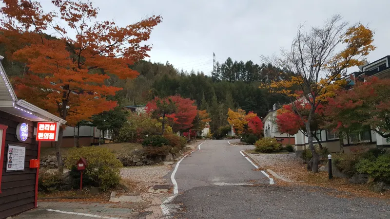 [Pyeongchang][Pyeongchang-gun, Gangwon-do] Large-scale villa-style houses 10