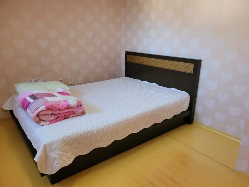 [Pyeongchang][Pyeongchang-gun, Gangwon-do] Large-scale villa-style houses 3