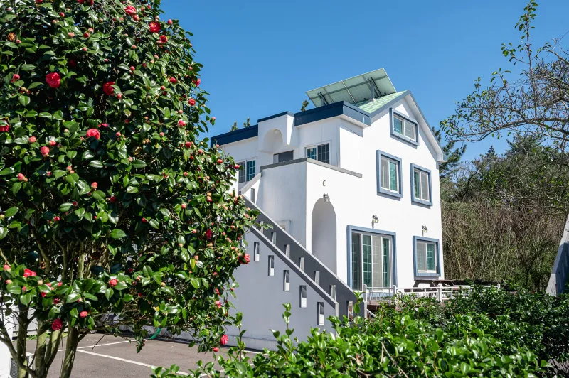 [Hallim, Jeju][Jeju Hyeopjae] Healing Pension Filled with the Scent of Pine Forest #PetFriendly (Building B, 1st Floor / Two-Room) 26