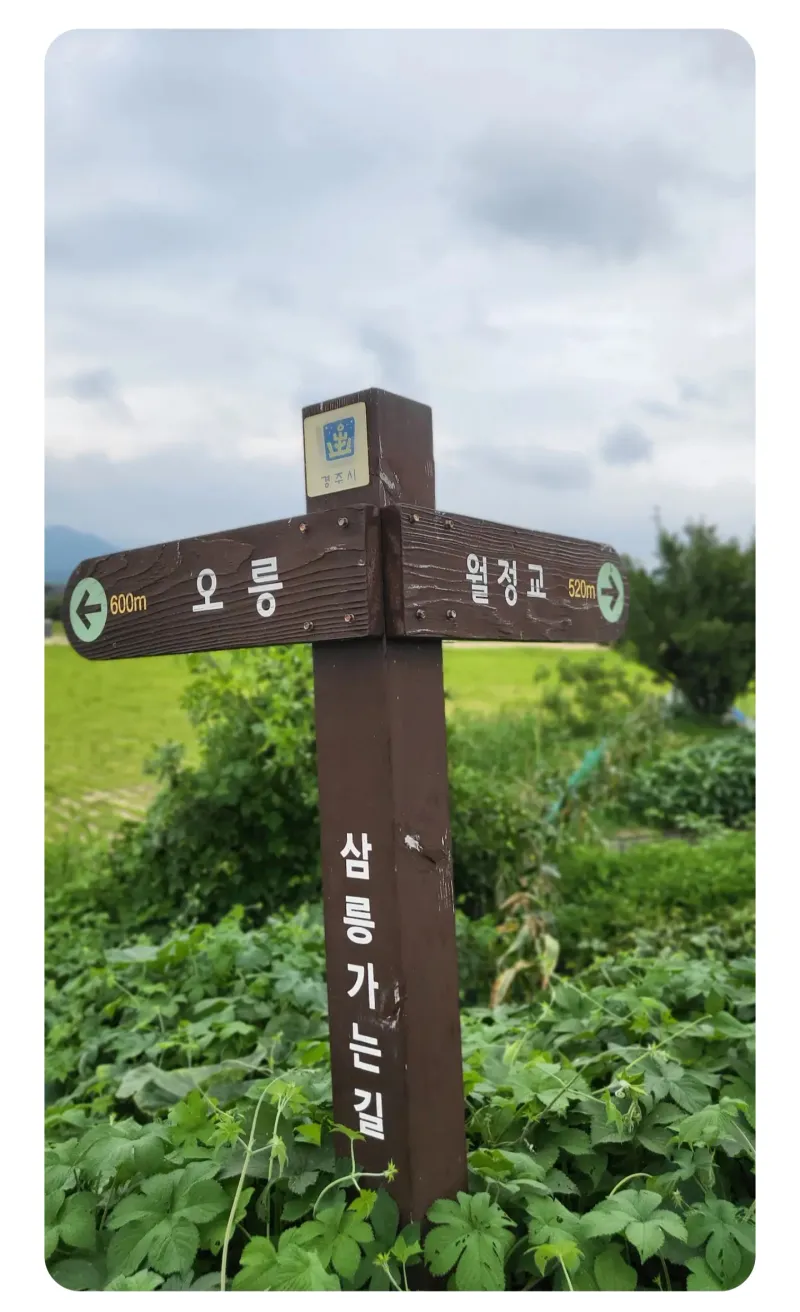 [Gyeongju] A cozy house in a village with a beautiful garden (annex) 27