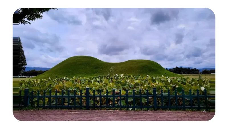 [Gyeongju] A cozy house in a village with a beautiful garden (annex) 30