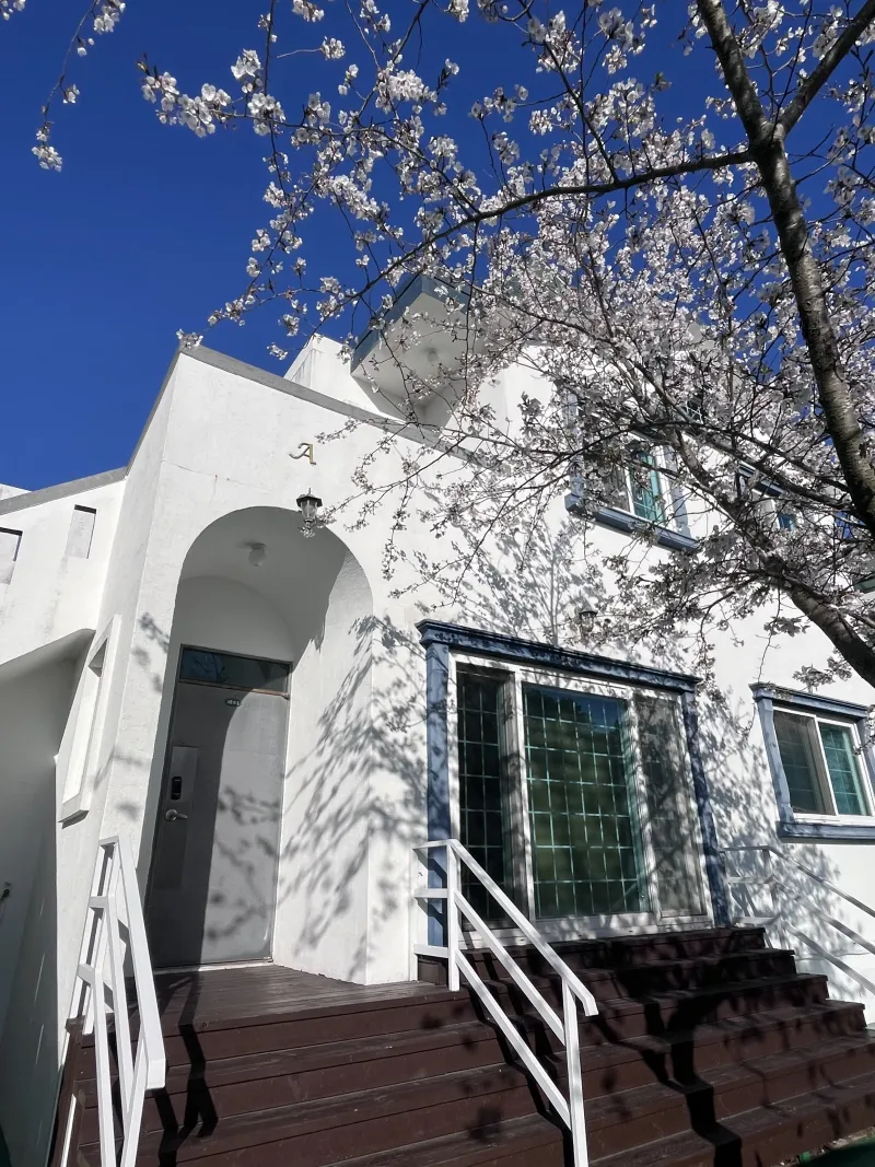 [제주 한림][제주 협재] 솔밭 향기 가득 힐링 펜션 #애견동반 (D동2층/복층) 19