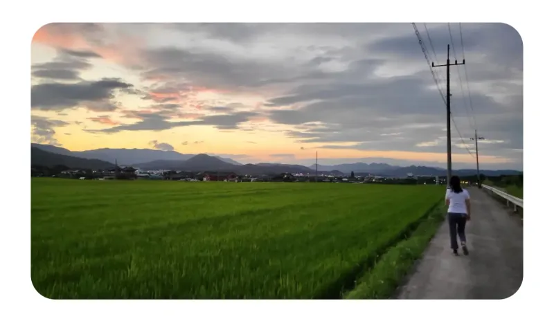 [Gyeongju] A cozy house in a village with a beautiful garden (annex) 29