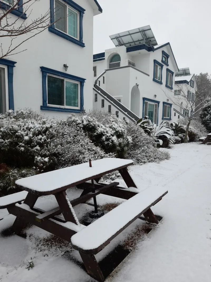 [Hallim, Jeju][Jeju Hyeopjae] Healing Pension Filled with the Scent of Pine Forest #PetFriendly (Building C, 1st Floor / Two-Room) 52
