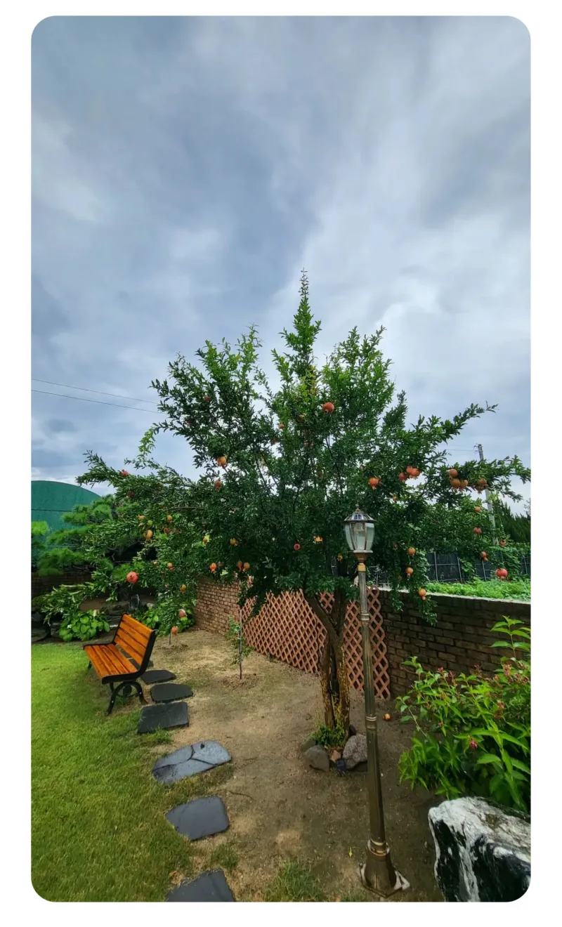 [Gyeongju] A cozy house in a village with a beautiful garden (annex) 20