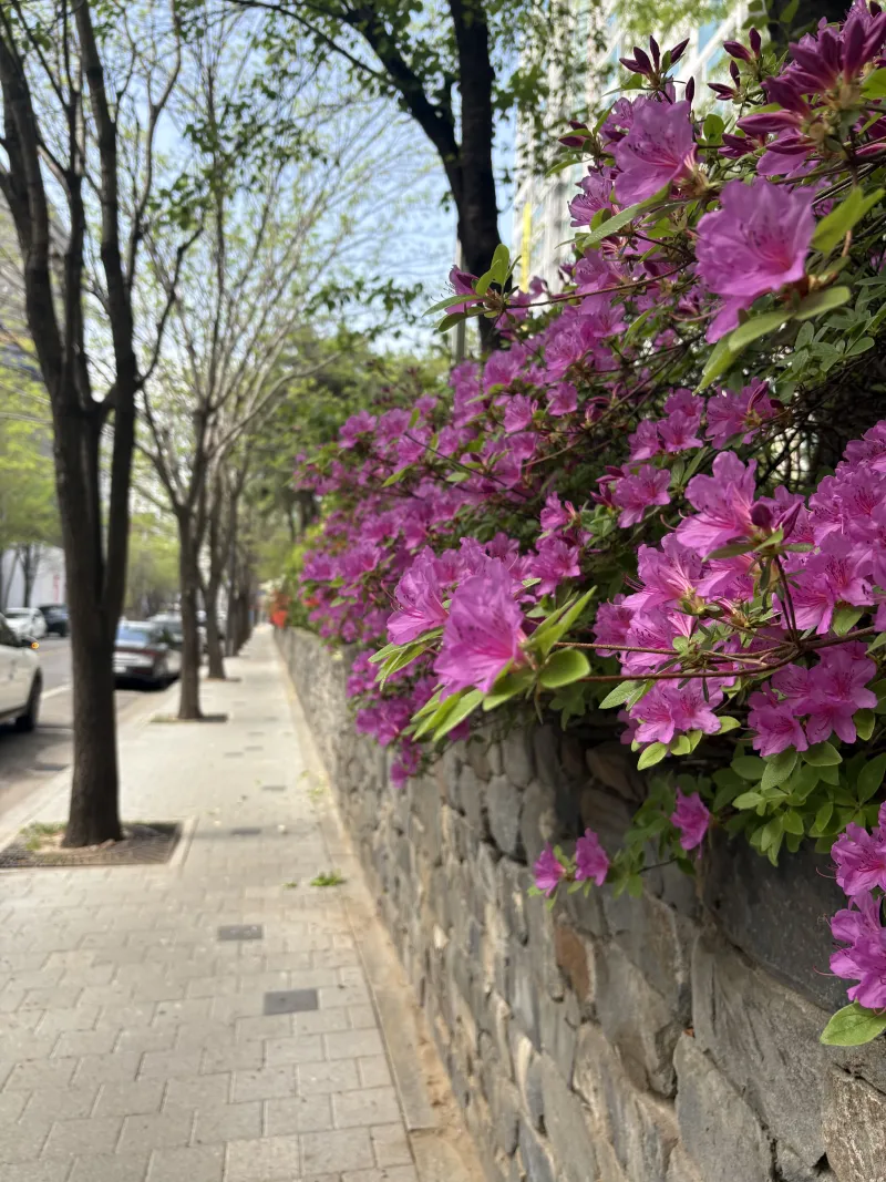 [Mapo, Seoul] Gongdeok Mapo Station area two-room apartment, walking distance from the Han River 39