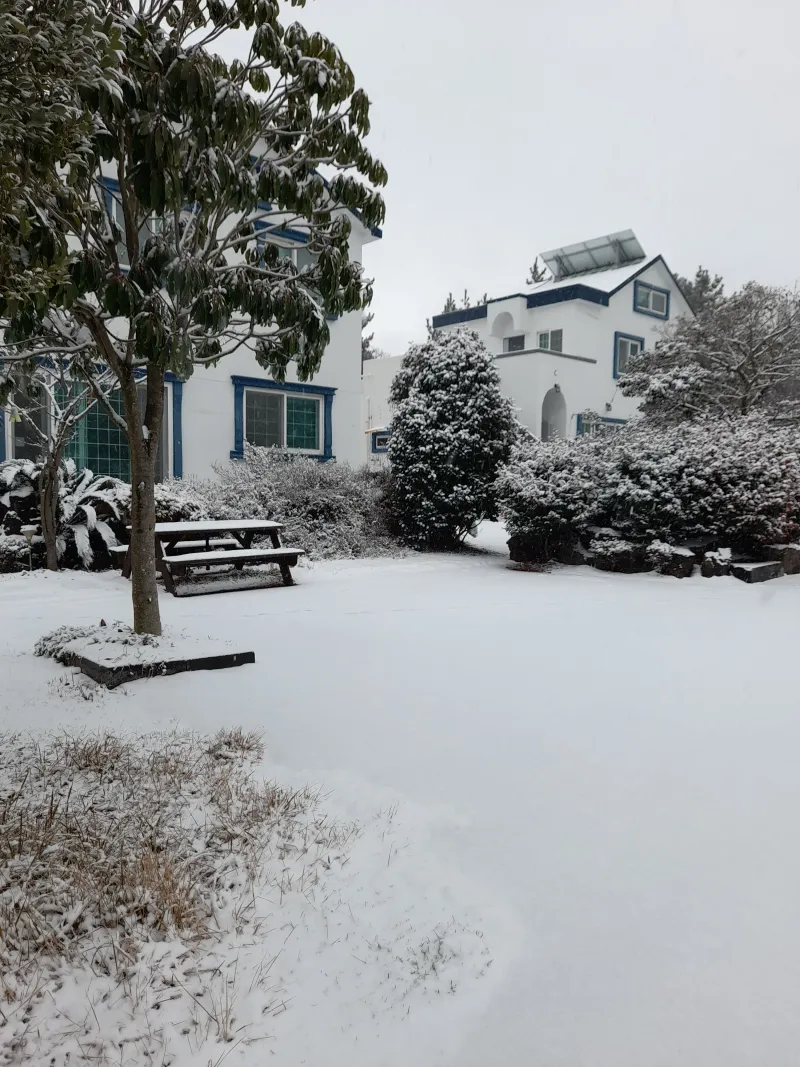 [Hallim, Jeju][Jeju Hyeopjae] Healing Pension Filled with the Scent of Pine Forest #PetFriendly (Building B, 1st Floor / Two-Room) 70