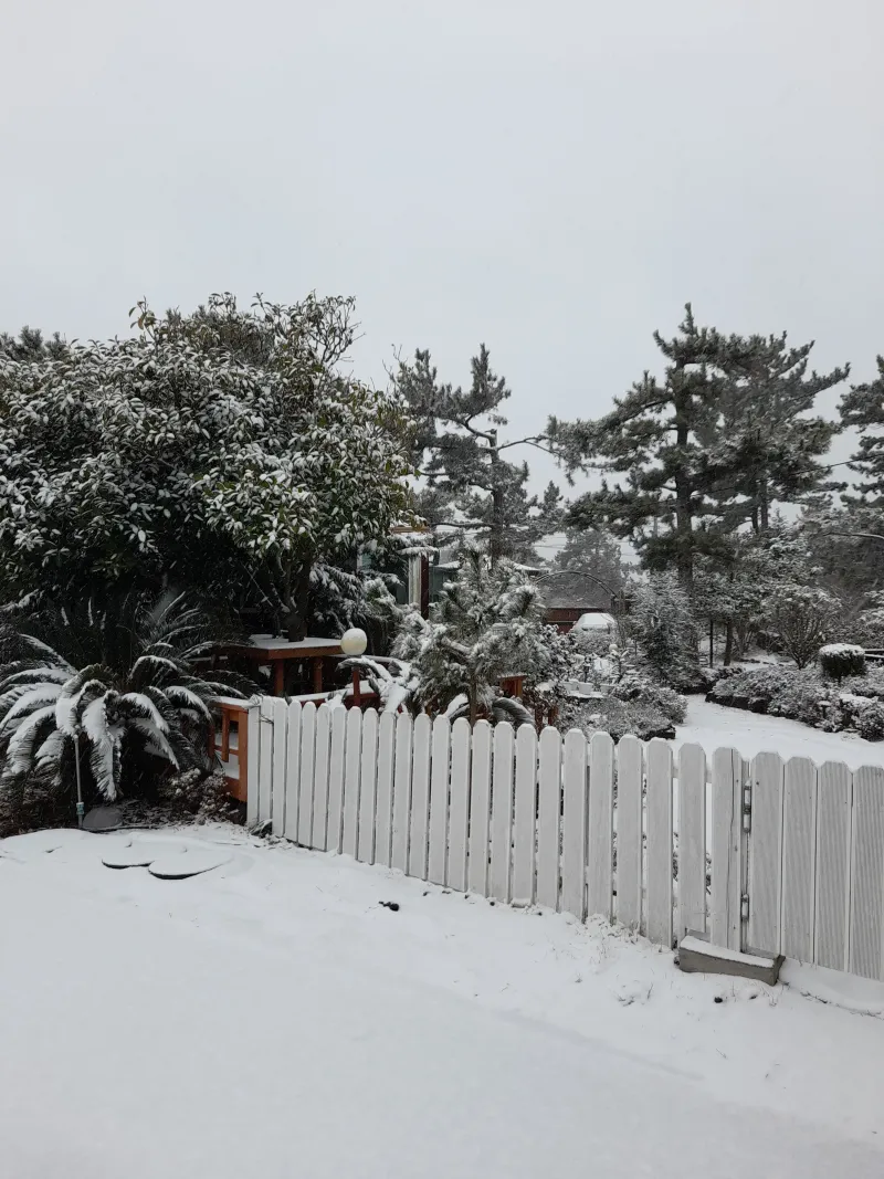 [Hallim, Jeju][Jeju Hyeopjae] Healing Pension Filled with the Scent of Pine Forest #PetFriendly (Building B, 1st Floor / Two-Room) 65