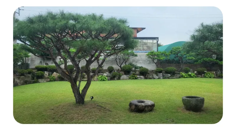 [Gyeongju] A cozy house in a village with a beautiful garden (annex) 19