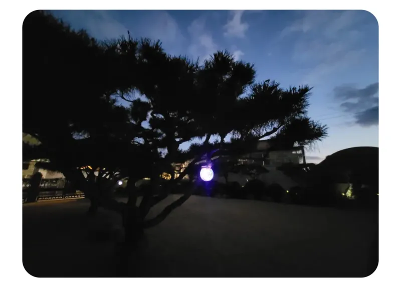 [Gyeongju] A cozy house in a village with a beautiful garden (annex) 25