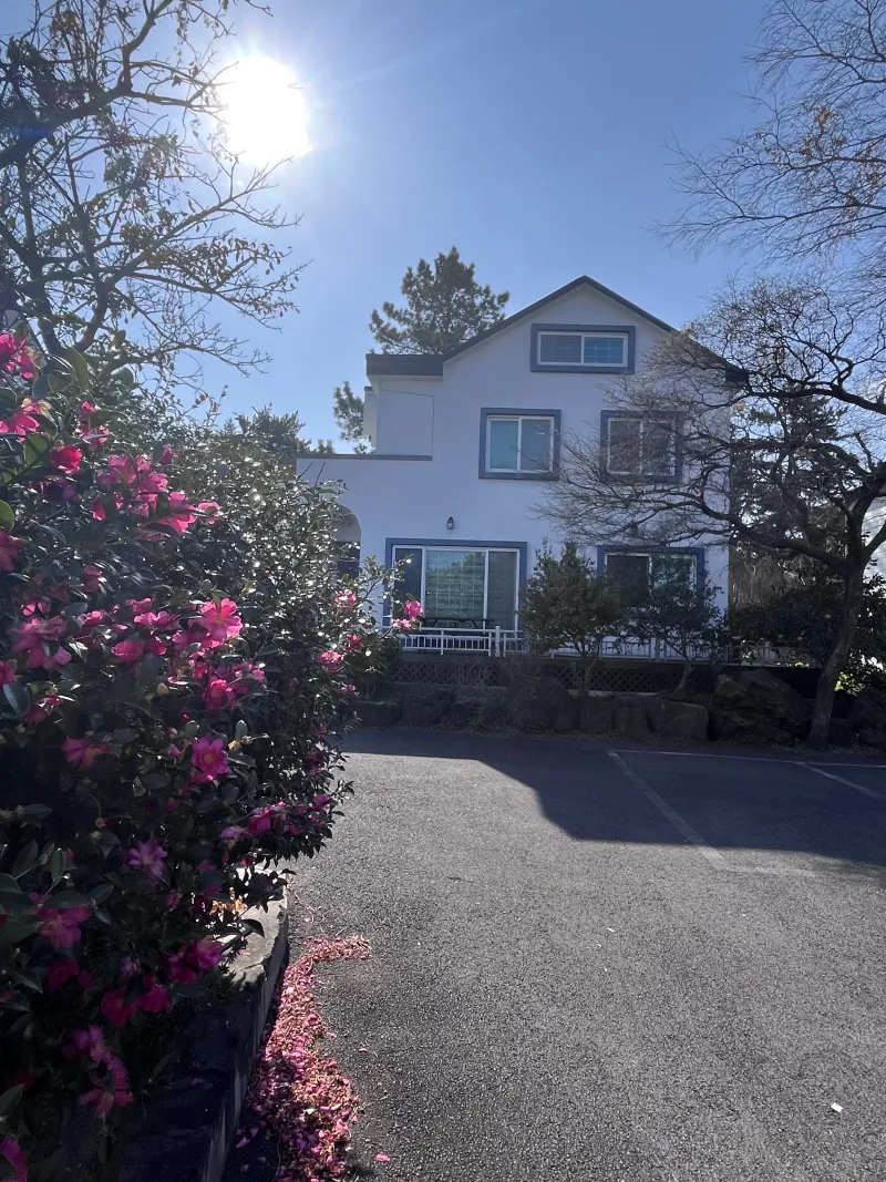 [Hallim, Jeju][Jeju Hyeopjae] Healing Pension Filled with the Scent of Pine Forest #PetFriendly (Building C, 1st Floor / Two-Room) 25