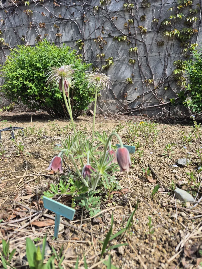 [Gyeongju] A quiet country house in Oedong-eup, Gyeongju 21