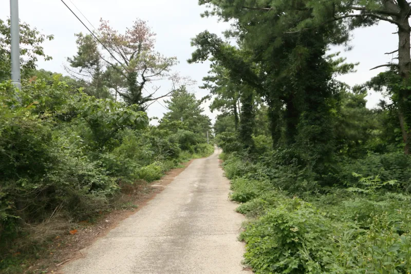 [Hallim, Jeju][Jeju Hyeopjae] Healing Pension Filled with the Scent of Pine Forest #PetFriendly (Building B, 2nd Floor / 1.5 Room) 40