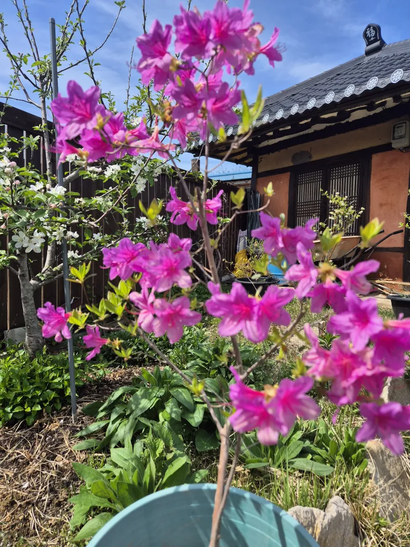 [Gyeongju] A quiet country house in Oedong-eup, Gyeongju 17