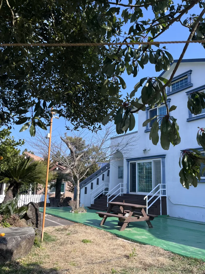 [Hallim, Jeju][Jeju Hyeopjae] Healing Pension Filled with the Scent of Pine Forest #PetFriendly (Building B, 2nd Floor / 1.5 Room) 31
