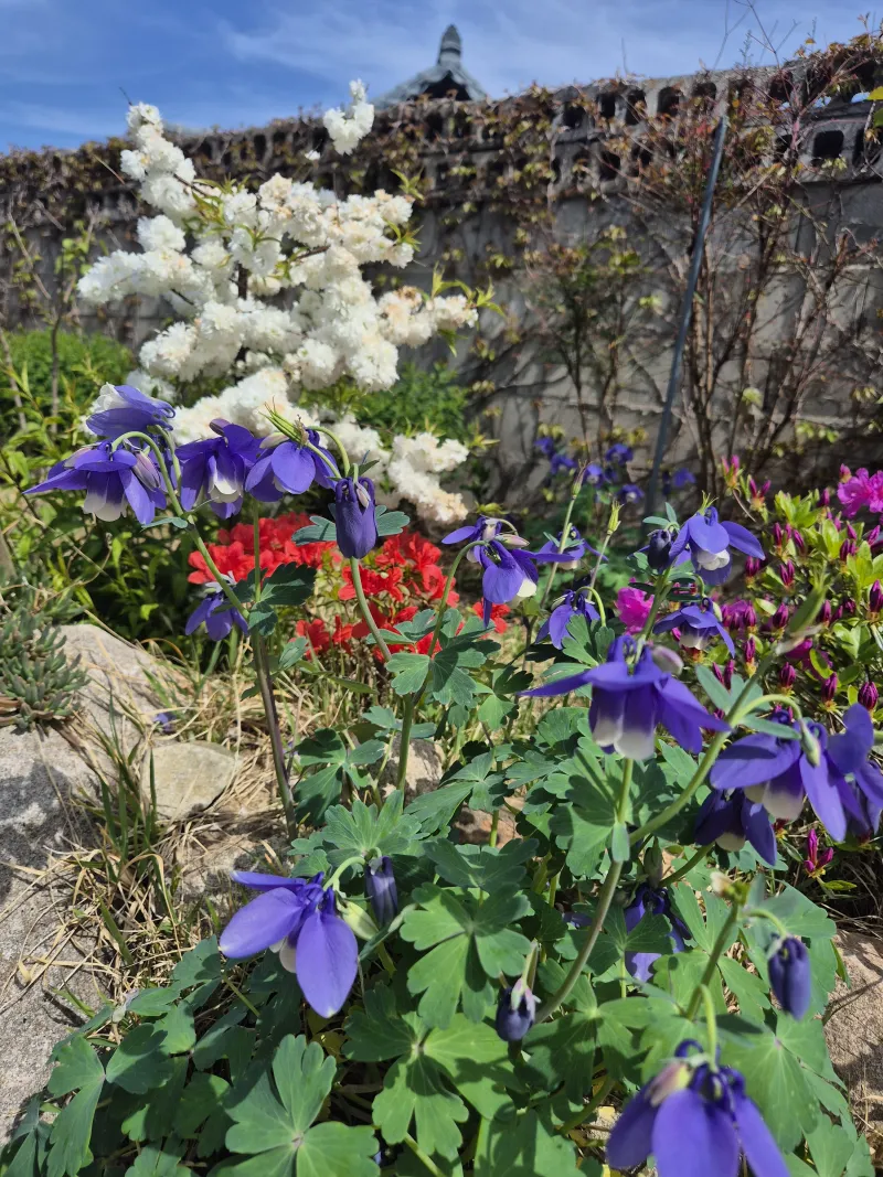 [Gyeongju] A quiet country house in Oedong-eup, Gyeongju 22