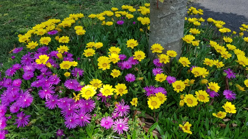 [Hallim, Jeju][Jeju Hyeopjae] Healing Pension Filled with the Scent of Pine Forest #PetFriendly (Building B, 2nd Floor / 1.5 Room) 46