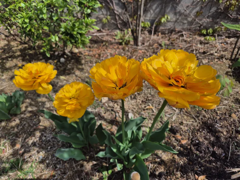 [Gyeongju] A quiet country house in Oedong-eup, Gyeongju 19