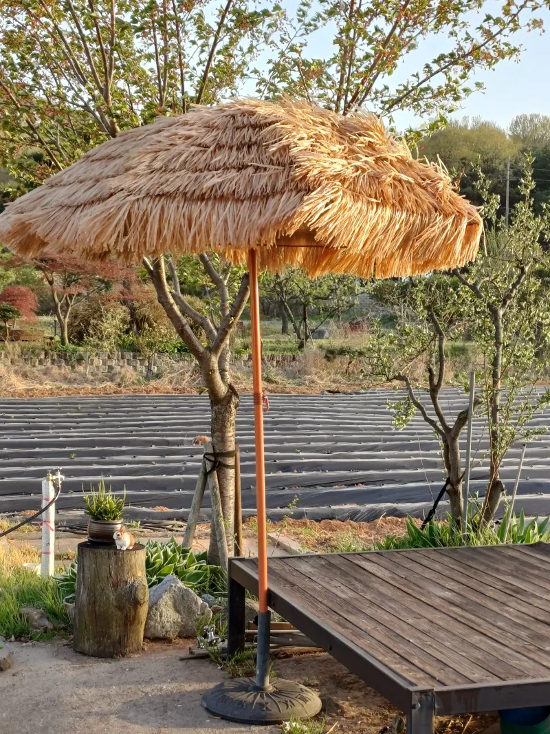 [Ganghwa, Incheon] Fishing is possible at the reservoir in front of the house, a 5-minute drive to Oepo-ri beach. 24