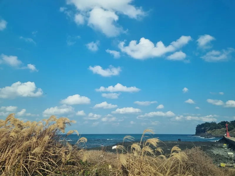 [Aewol, Jeju] Ocean View Aewol Private House 52