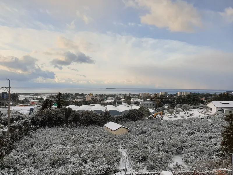 [Namwon, Seogwipo] Wimimoruwat 30