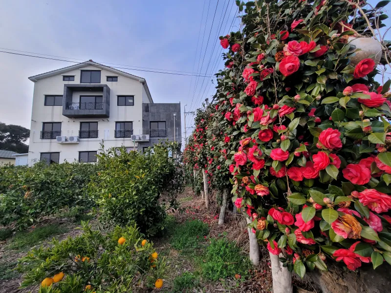 [Namwon, Seogwipo] Wimimoruwat 16