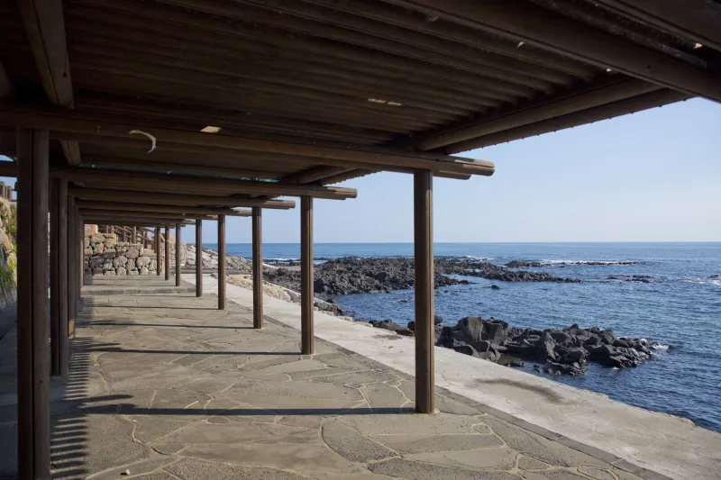 [Seongsan, Seogwipo] Newly built in 2026, a house with a view of the sunrise, dolphins, and horizon 49