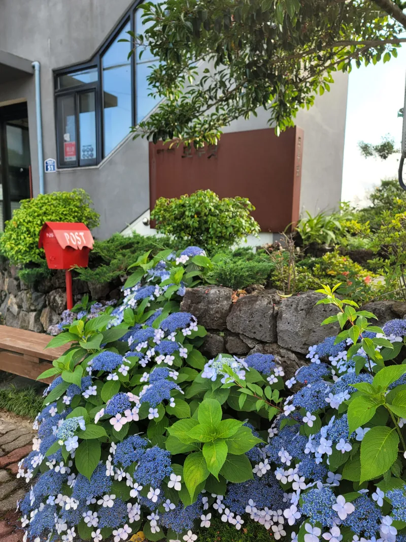 [Namwon, Seogwipo] Wimimoruwat 14