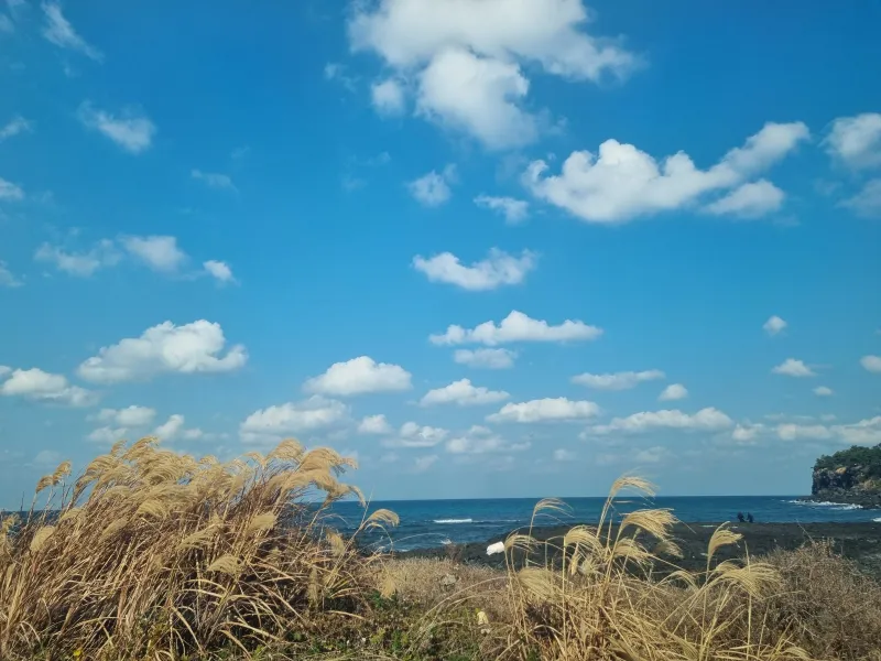 [Aewol, Jeju] Ocean View Aewol Private House 53